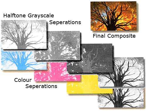 23-process-seps